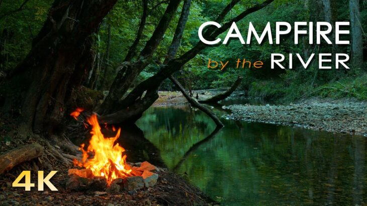 4K Campfire by the River – Relaxing Fireplace & Nature Sounds – Robin Birdsong  – UHD Video – 2160p