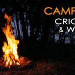 4K Campfire by the Sea – Crickets & Ocean Waves – Night Forest Nature Sounds – Relaxing Fireplace