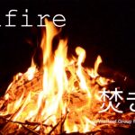 Bonfire 60 min/焚き火/Relax, healing, meditation, sleep, study