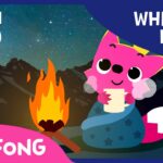Bonfire Sound With PINKFONG | How To Sleep Better | White Noise | PINKFONG Songs for Children