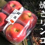 焚き火で焼きリンゴ 【リベンジ編】　Grilled apples with bonfire