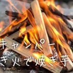 焚き火で焼き芋　素人キャンパーの初バトニング、フェザースティック