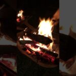 焚き火 bonfire
