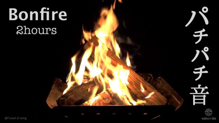 キャンプ場の焚き火BGM動画でくつろぎの２時間