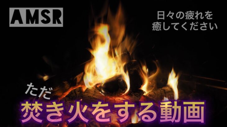 【ASMR】焚き火 BONFIRE 癒し 安眠効果 睡眠