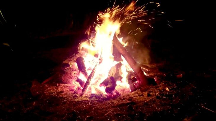 【映像素材】焚き火 キャンプ 炎 Bonfire