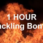 1 Hour Relax Sleep Sounds, Crackling Bonfire Sound Effect