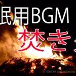 【睡眠用BGM】心安らぐ焚き火と虫の声10時間 / 癒し系作業用BGM