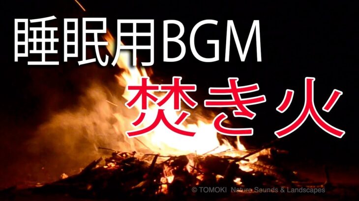 【睡眠用BGM】心安らぐ焚き火と虫の声10時間 / 癒し系作業用BGM