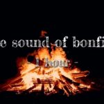 【環境音/ASMR】焚き火　1時間　The sound of bonfire -1 hour -〈立体音響・映像有り〉