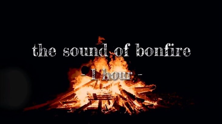 【環境音/ASMR】焚き火　1時間　The sound of bonfire -1 hour -〈立体音響・映像有り〉