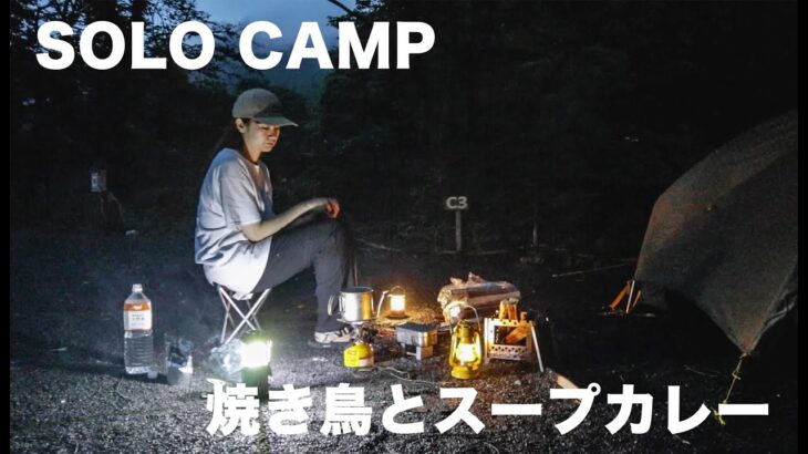 【埼玉の山奥でソロキャンプ】新焚き火台で焼き鳥を焼いてみました！