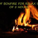 Sound Of bonfire For Relaxing Sleep For 5 Hours | asmr | relaxing