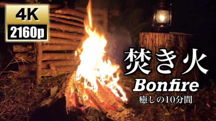 【焚き火 Bonfire 】約10分間の4K焚き火動画と音に癒される 睡眠導入 作業用BGM 癒し 虫の音