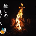 【焚き火の音】癒やしの睡眠用リラックスBGM動画【ASMR】