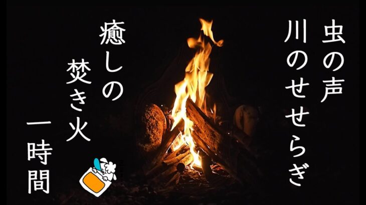 【焚き火の音】癒やしの睡眠用リラックスBGM動画【ASMR】