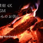 ジャズBGM 焚火 ひとり飲みのお供に 4K 直火 ファイアピット 広葉樹 道志 Bonfire using Hardwood 2020/09/09