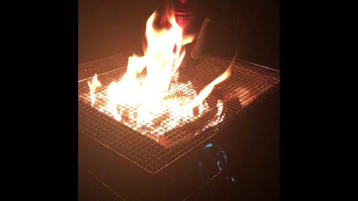 【LOGOS】焚き火台で焚き火を楽しむ‼️#焚き火#bonfire