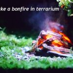 【苔テラリウム】焚き火のある苔テラリウム　How to make a bonfire in terrarium
