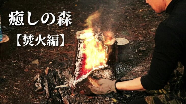 新年ブッシュクラフト癒しの森【焚火編】New Year bushcraft bonfire.