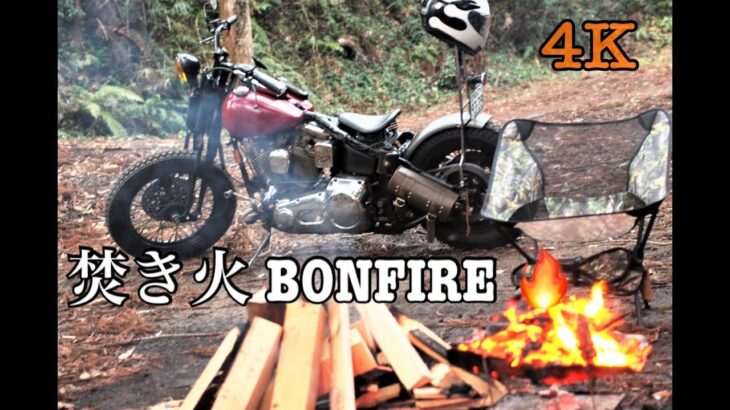 4K 焚き火 Sound of Bonfire BGM   Camp Touring
