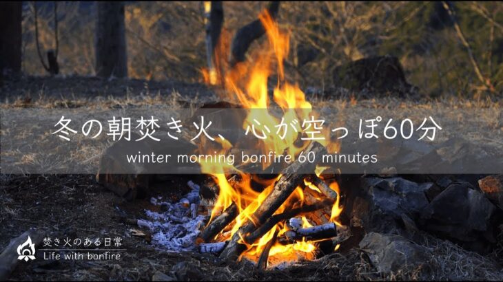 【頭を空っぽ心を整える】直火焚き火癒し系動画｜60分4K｜冬の朝焚き火｜Relaxing Fireplace & Nature Sounds in winter morning