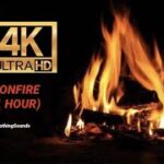 1 HOUR of Relaxing Fire/Bonfire Sounds (FULL HD)