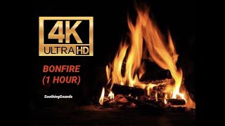 1 HOUR of Relaxing Fire/Bonfire Sounds (FULL HD)