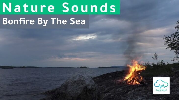 Bonfire By The Sea Crackling Fire And Wave Sounds !amazing!