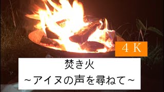 【焚き火:Bonfire】〜白老川の流れとともに〜(4K プチASMR)