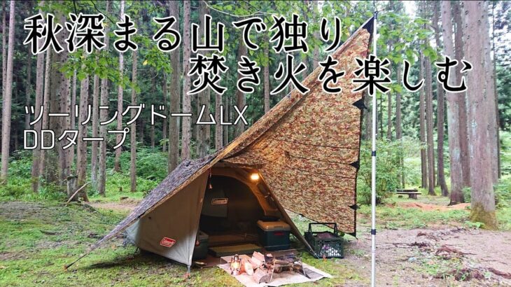 【ソロキャンプ】どうしても焚き火がしたくて秋の山に来ました。コールマンツーリングドームLX　秋田県