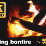 焚き火　Bonfire　４K