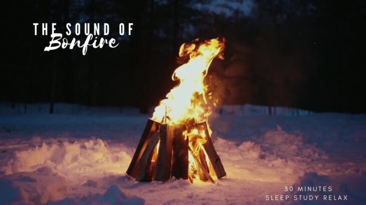 Calming sound of bonfire & real sound of nature. Sound for sleep. Study. Relax.