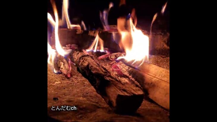 【Bonfire】焚き火【Camp】【庭キャンプ】#キャンプ#焚き火#庭キャンプ