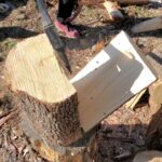 【choppingwood 】柿の木を割る【薪割り】#キャンプ#焚き火
