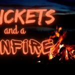 Crickets and a Bonfire | Crickets and Light | Ambient Sound | What Else Is There?