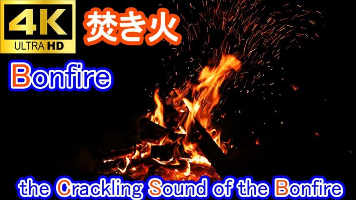 【4K映像 焚き火 Bonfire 炎】Relaxing and Healing effect / リラックス 癒し効果（Crackling Sound of the Bonfire）