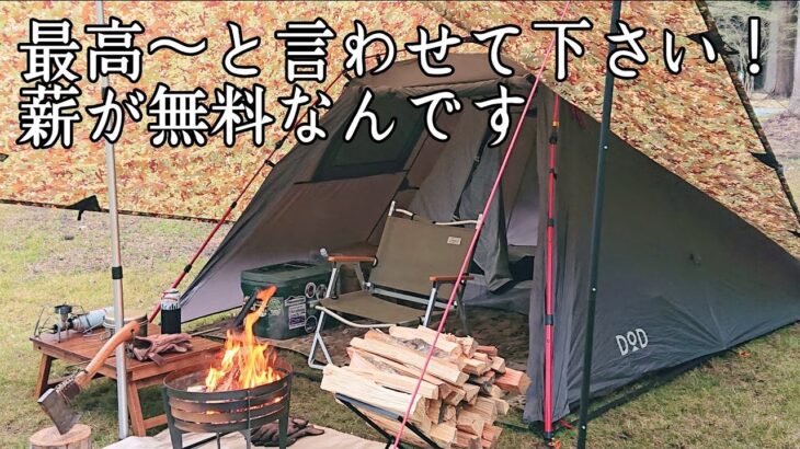 【ソロキャンプ】焚き火好きにはたまりません！一泊1000円で薪が使い放題なキャンプ場　秋田県