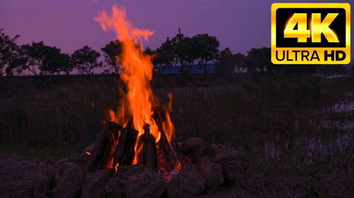 Cozy Campfire 4K 🔥 Relaxing campfire sounds 🔥 Burning Campfire & Crackling Fire Sounds 10 Hours