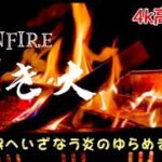 焚き火（Bonfire） 睡眠へいざなう炎のゆらめき　4k高画質