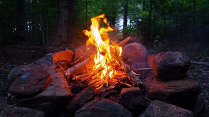 CAMPFIRE SOUNDS IN NIGHT | RELAXING CRACKLING CAMPFIRE AMBIENCE IN FOREST | FIRE SOUNDS NO MUSIC