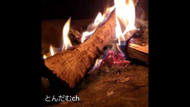 【Bonfire】焚き火【Camp】【庭キャンプ】#キャンプ#焚き火#庭キャンプ